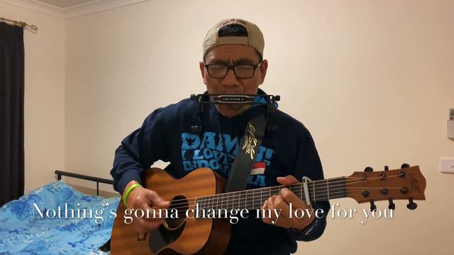 Nothing’s gonna Change My Love For You | Guitar & Harmonica Cover смотреть онлайн