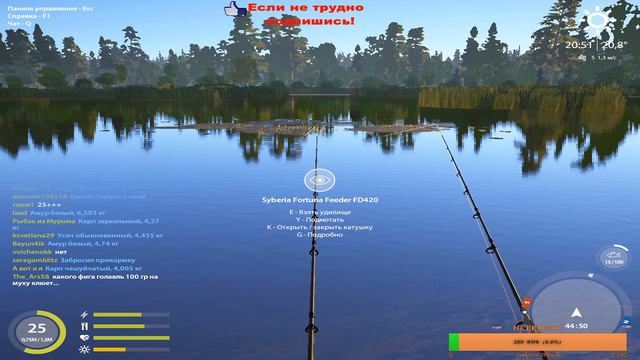 Русская рыбалка 4+ Розыгрыш игры__Just Cause 3__Steam_условия ниже)) смотреть онлайн