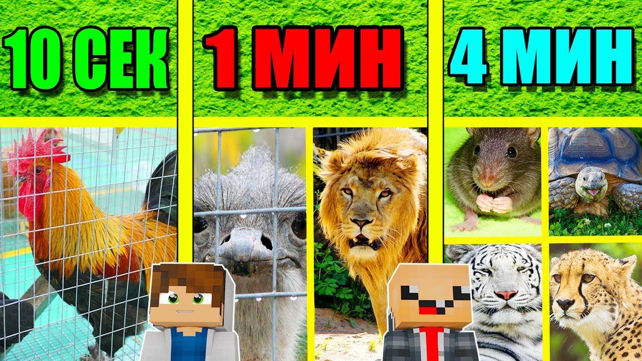 НУБ И ПРО СТРОЯТ ЗООПАРК ЗА 4 МИНУТ / 1 МИНУТА / 10 СЕКУНД! БИТВА СТРОИТЕЛЕЙ МУЛЬТИК смотреть онлайн