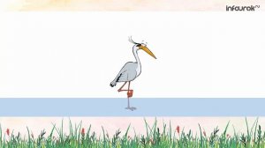 Буква Ц | Дошкольники | Буквы #24 | Инфоурок