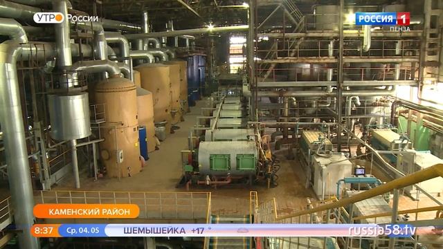 Как в Каменском районе делают сахар: секреты производства смотреть онлайн