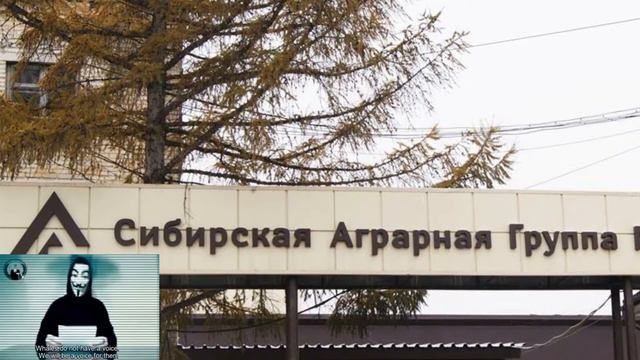 Свинский крахмал Сибирской аграрной группы смотреть онлайн