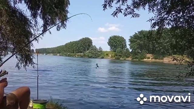 Днестр, отдых ,рыбалка. крупная рыба😆 смотреть онлайн