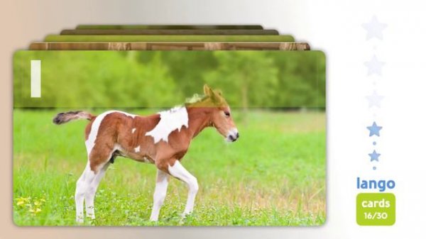 Pets and Farm Animals Vocabulary with Examples | English Speaking Practice