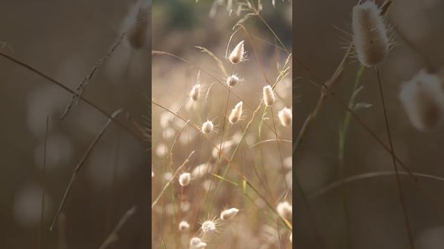 Всё в меру или зачем нужна мера в практике Цигун?