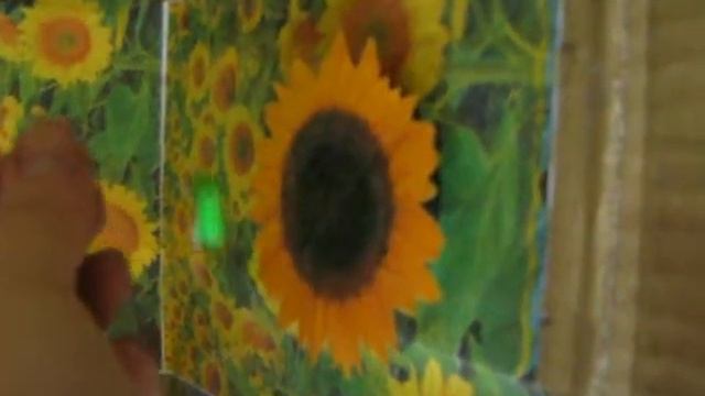 Взаимодействие одноименных полусов магнита.AVI смотреть онлайн