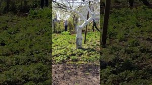 супер отдых на даче