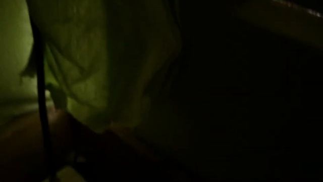 ДЕЛАЕМ СВИНАРНИК | АРХИВ 2016