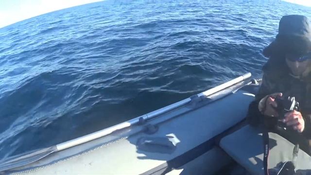 boatsman sk сочинение на тему "Как провел весенние каникулы" смотреть онлайн