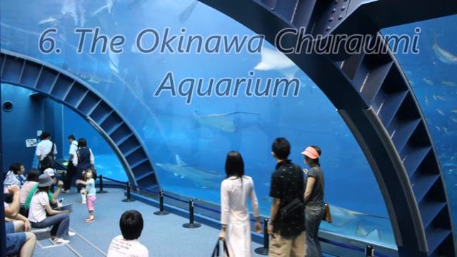 Самые большие океанариумы в мире смотреть онлайн