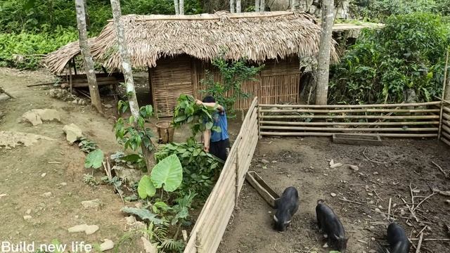 Bad guys attack farm to get chicken at midnightDanger lurks in the woods, lives off the grid смотреть онлайн