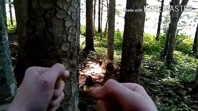 МАЙНКРАФТ В РЕАЛЬНОЙ ЖИЗНИ! Шаг первый, срубить дерево смотреть онлайн