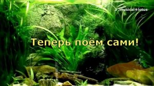 "Рыбка плавает в водице" игровая песенка для дошкольников