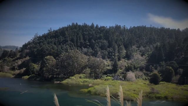 Alegria by Paul Renslow смотреть онлайн