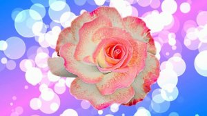 Футаж. Цветочный фон 162