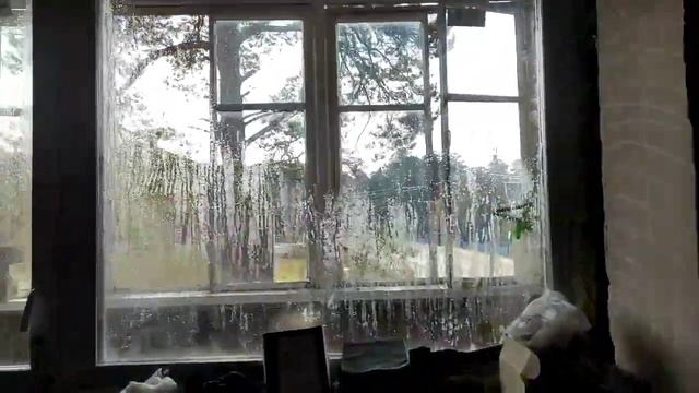 И снова катастрофа с мужем. Боремся с плесенью. смотреть онлайн