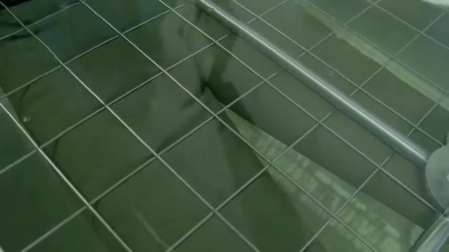 ВЕЙДЕРСЫ START CAPERLAN смотреть онлайн