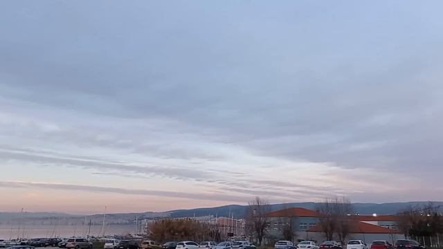 Жду звонка с приглашением возглавить комитет по 