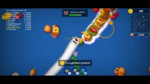 Червячная зона (4)