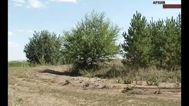 В регионе увеличен штат сотрудников лесной охраны смотреть онлайн