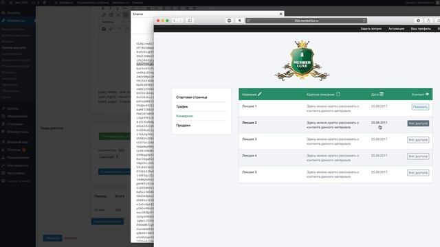 Идеальная Модель Монетизации Информационного и Тренингового Бизнеса