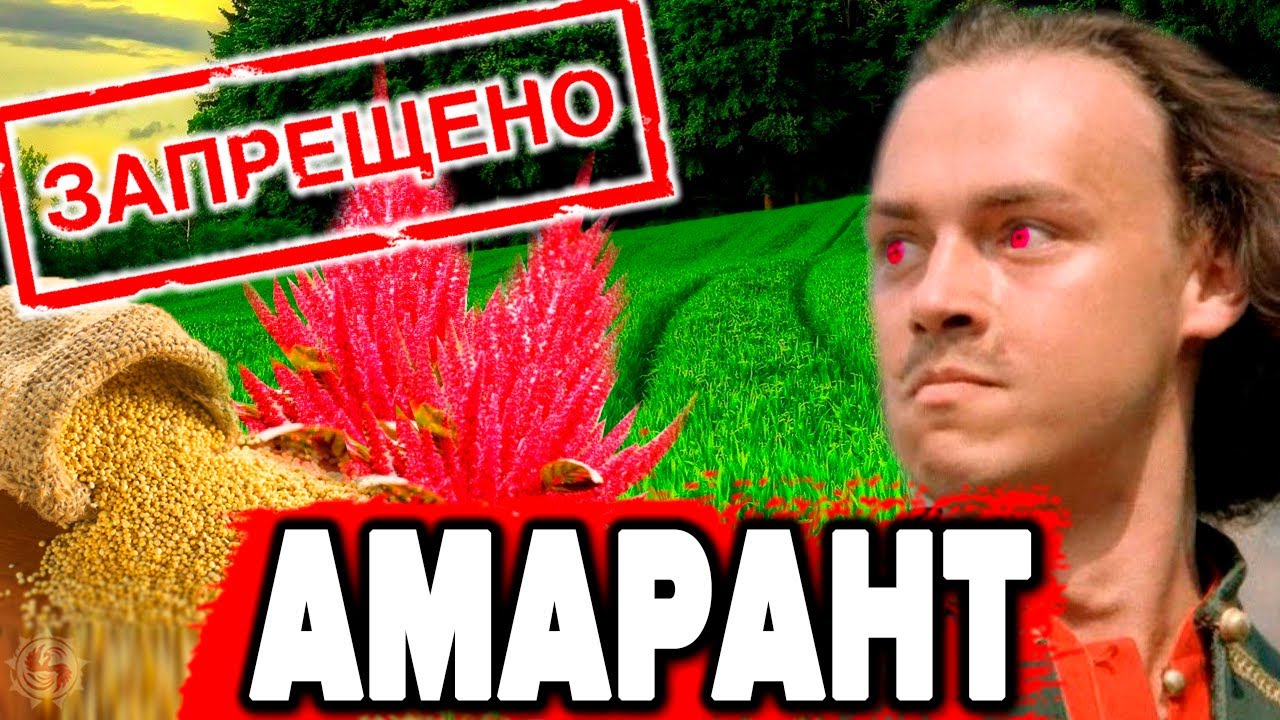 ЗАЧЕМ ПЁТР 1 ЖЕСТОКО ЗАПРЕТИЛ АМАРАНТ - НАСТОЯЩИЙ ХЛЕБ СЛАВЯН смотреть онлайн