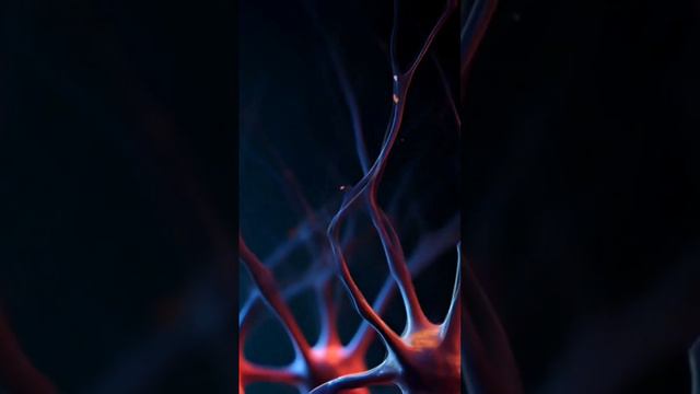 Нейрон - это взвешенный сумматор. Нейронная сеть #центик смотреть онлайн