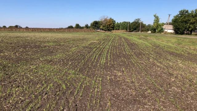 Клумбы для парков