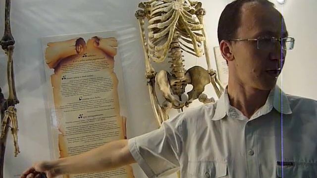 Музей Анатомического театра КГМУ 02 смотреть онлайн