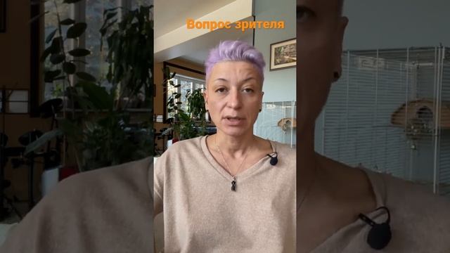 Луковичные растения в горшках : что делать с ними после того, как отцветут смотреть онлайн