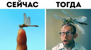 Захватывающие факты о животных, которые вы не найдете в учебнике