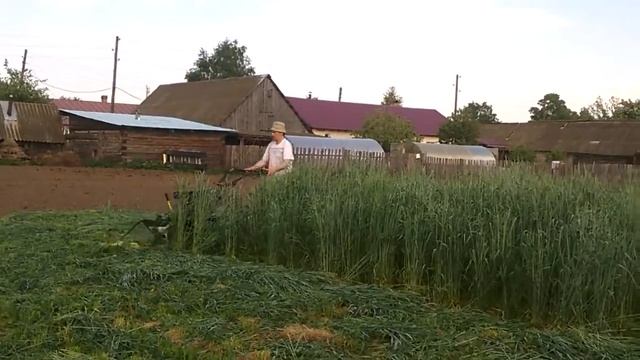 косилка Целина в деле 28.05.2016 смотреть онлайн