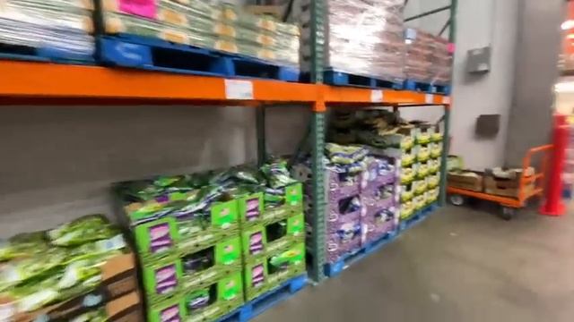 Закупка в Costco на $110/Что купили?/Обзор цен и товара смотреть онлайн