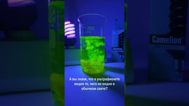 Ультрафиолетовая лампа Camelion