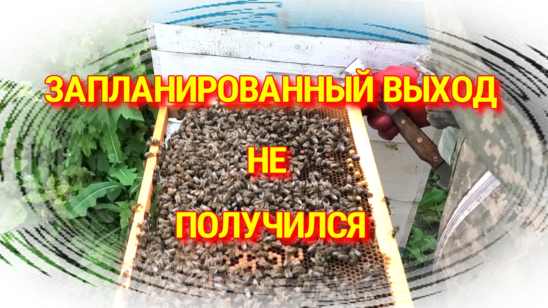 ОНА МЕНЯ ОПЕРЕДИЛА..mp4 смотреть онлайн