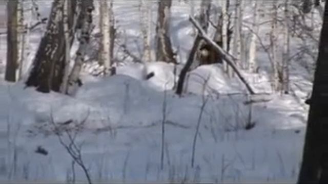 Ерментау смотреть онлайн