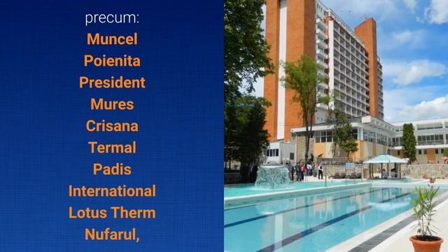Baile Felix Tratament смотреть онлайн