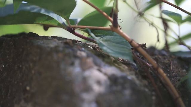 Егор и Маргарита смотреть онлайн