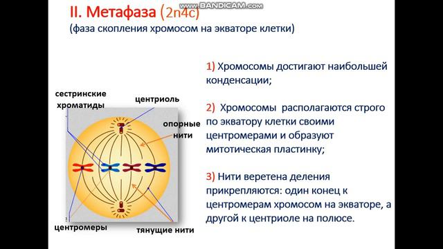 18 апреля 2022 г.