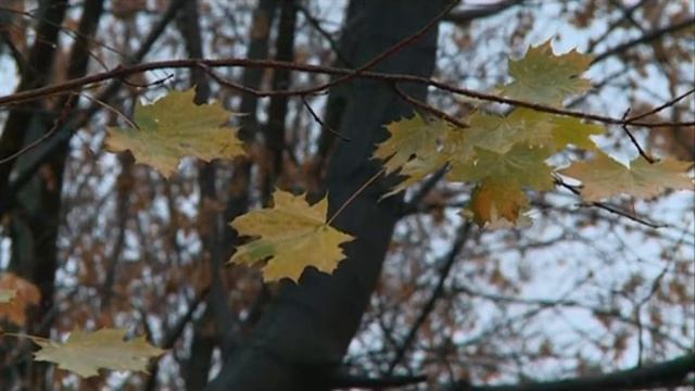 13 10 2014 СУББОТНИКИ смотреть онлайн