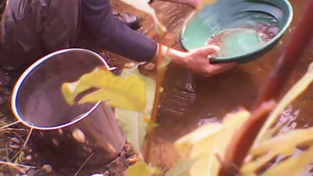 upper john boyd creek 041.AVI смотреть онлайн