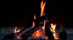 Костер. Шум дождя. Джаз.