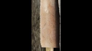 Японский улей. Начали строить соты.