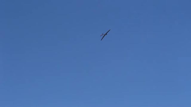 Hobby People QUEST Electric Sailplane Flight at PVMAC смотреть онлайн