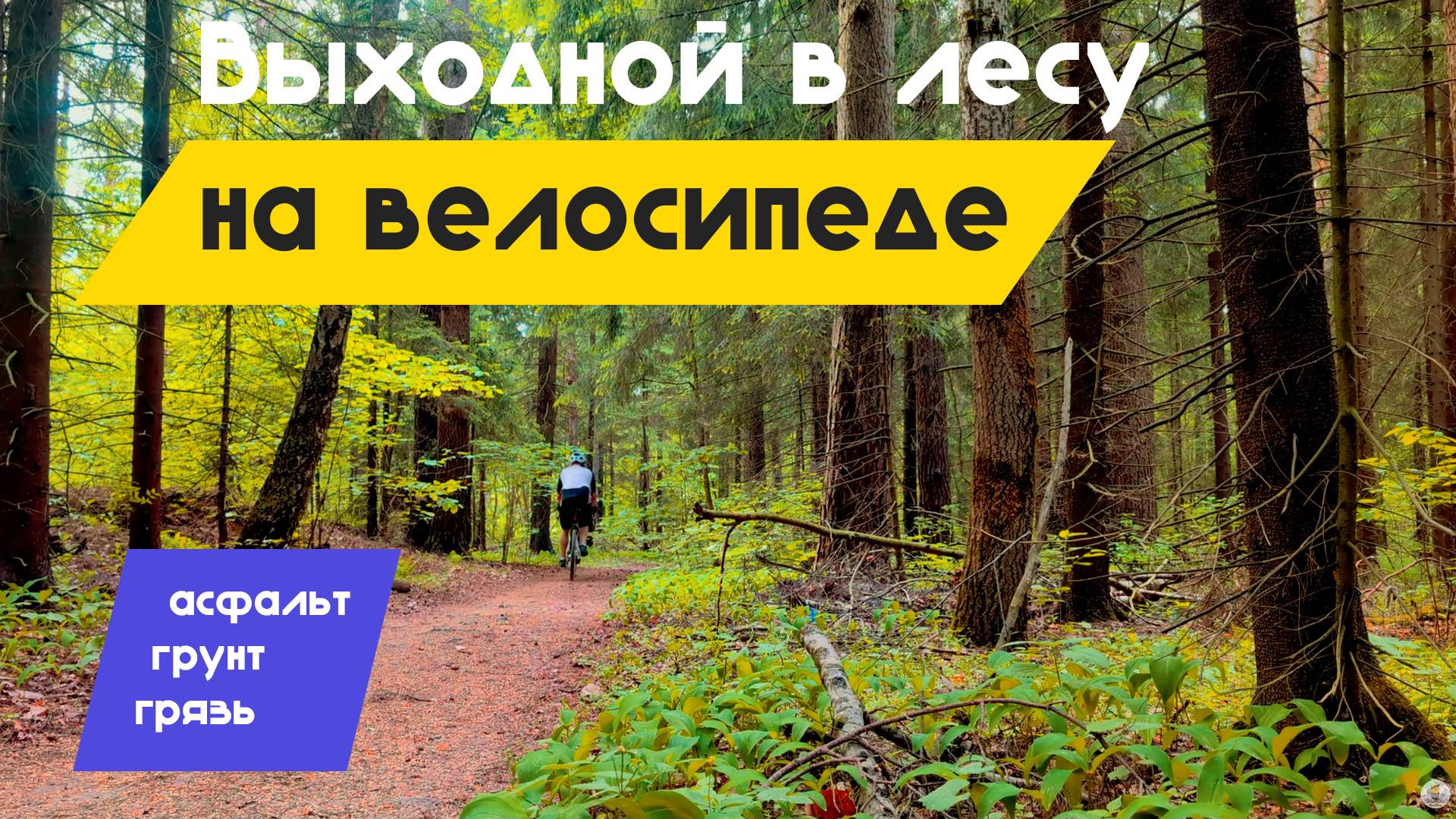 Лето в лесу на велосипеде / мини ПВД / Исследую веломаршруты Подмосковья смотреть онлайн