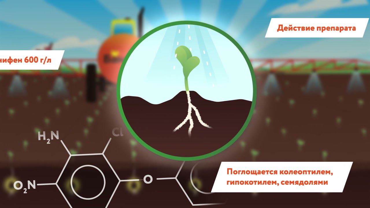 Bandur 22 11 смотреть онлайн