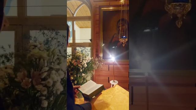 Рождественское Евангелие. Дивеево, 2024 г. смотреть онлайн