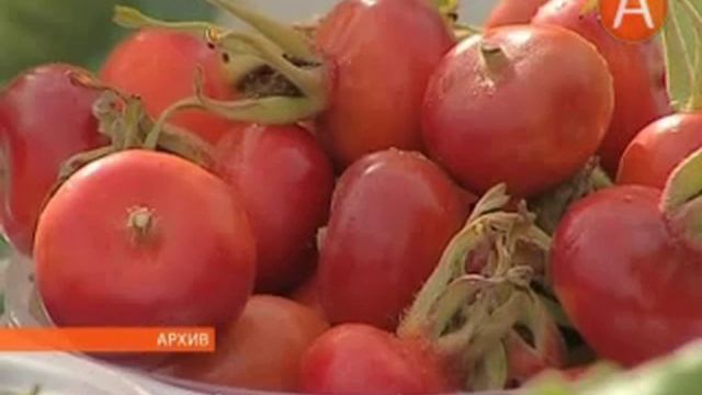 07 ярмарка урожая 30.08.2013 смотреть онлайн