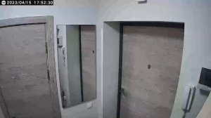 Сторож и помощник. Камера видеонаблюдения Xiaomi C200