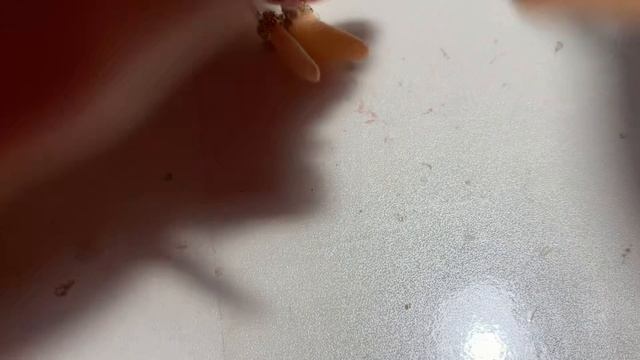 ПРИЛЁТ РОДИТЕЛЕЙ?? РАСПАКОВКА ПОДАРКОВ НА НОВЫЙ ГОД❄️?? смотреть онлайн